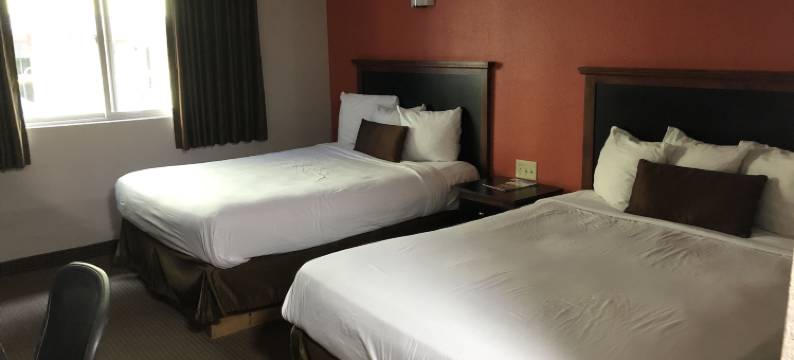 市中心优质酒店(Downtown Value Inn)图片