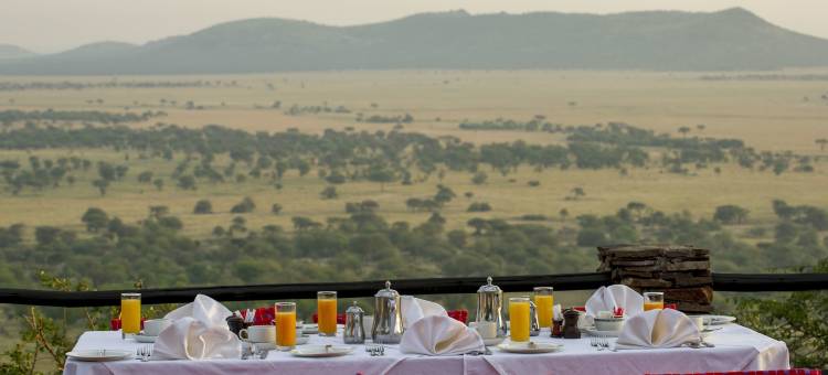 塞蕾娜塞伦盖蒂野生动物园小屋(Serengeti Serena Safari Lodge)图片