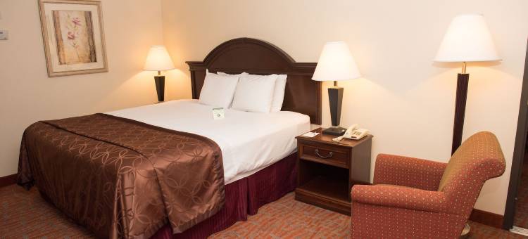 MHO 套房酒店(Mho Inn and Suites)图片