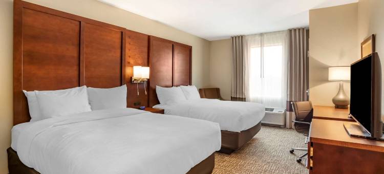 舒适套房酒店(Comfort Inn & Suites)图片