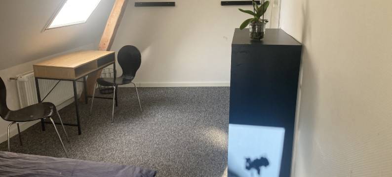 瑞士丹斯瓦豪小屋(Residens Svalhøj)图片