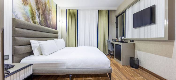 伊斯坦布尔国际机场- 德姆高级酒店 - 往返机场服务(Dem Premium Hotel - Round Trip Airport Service - Istanbul International Airport)图片