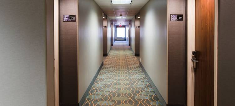 欢朋酒店俄克拉荷马城/爱德蒙得(Hampton Inn Oklahoma City/Edmond)图片