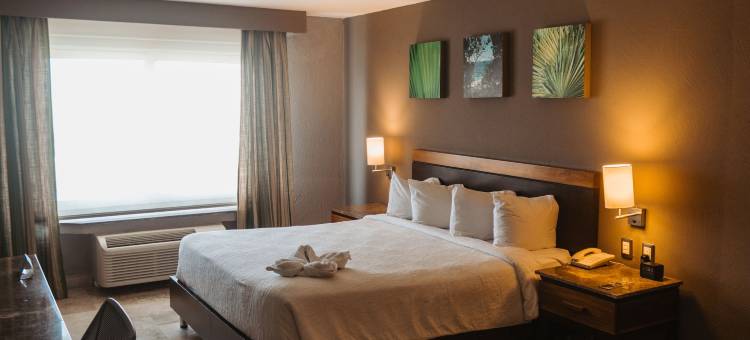 希尔顿花园酒店-博卡德尔里奥(Hilton Garden Inn Boca del Rio, Veracruz)图片