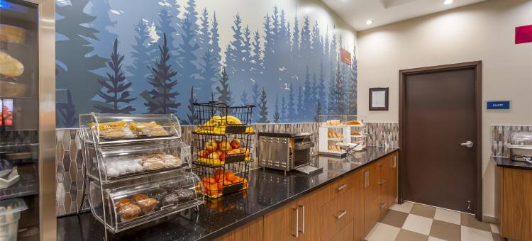 贝斯特韦斯特优质欣顿优质套房酒店(Best Western Plus Hinton Inn  Suites)图片