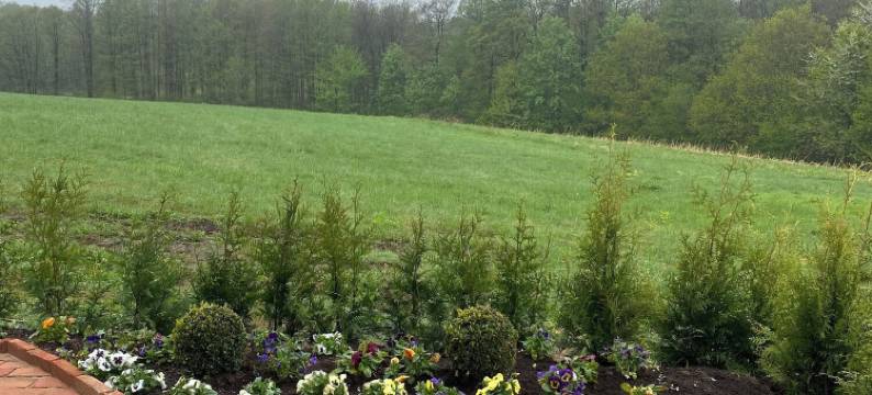 贝拉月亮旅馆(Hotel Bella Luna)图片