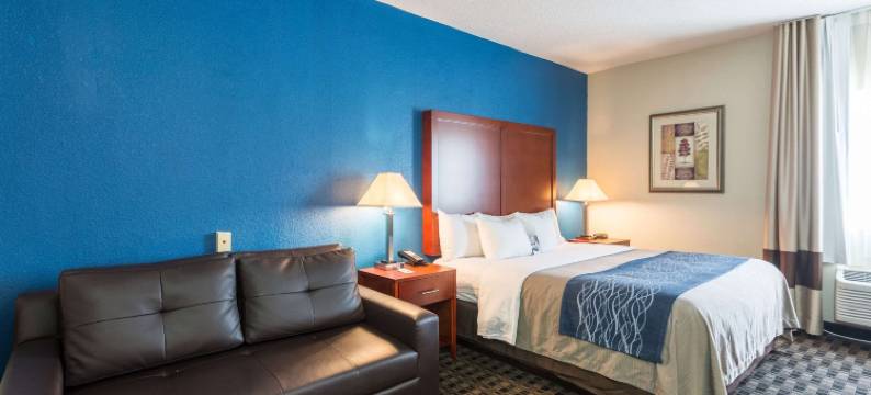 迪凯特普利斯维尔舒适酒店(Comfort Inn Decatur Priceville)图片