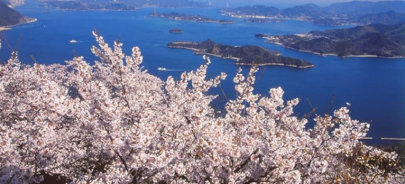 尼斯酒店三原(Nice Inn Mihara)图片