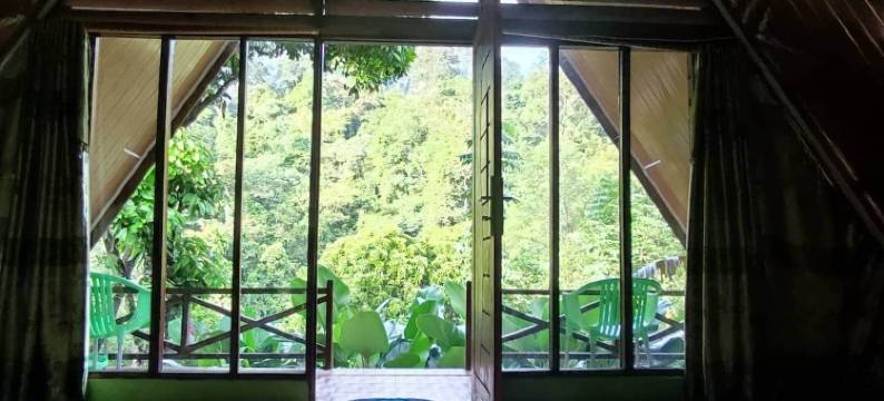 唐卡汉绿色森林酒店(Green Forest Tangkahan)图片