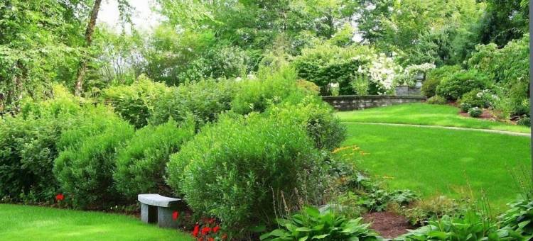 D套房酒店(D. Hotel Suites & Spa)图片