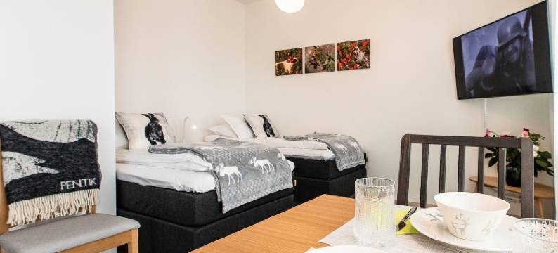 罗瓦涅米诺迪卡设计住宅酒店(Nordica Design Residence Rovaniemi)图片