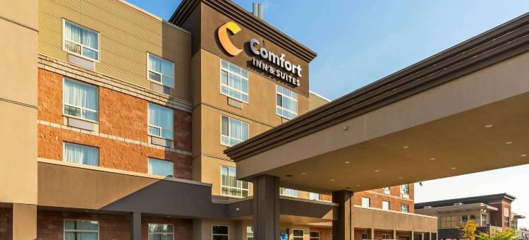 舒适套房酒店(Comfort Inn & Suites)图片