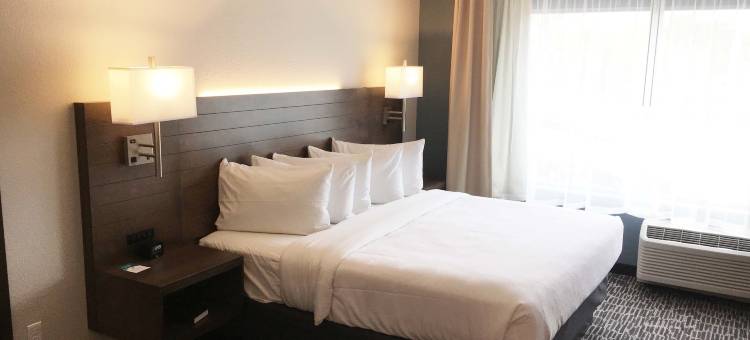 冈德森套房酒店(Gundersen Hotel & Suites)图片