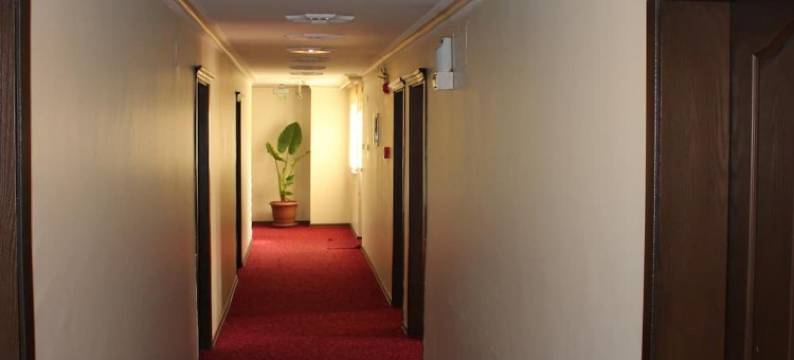 纳扎尔酒店(Nazar Hotel)图片