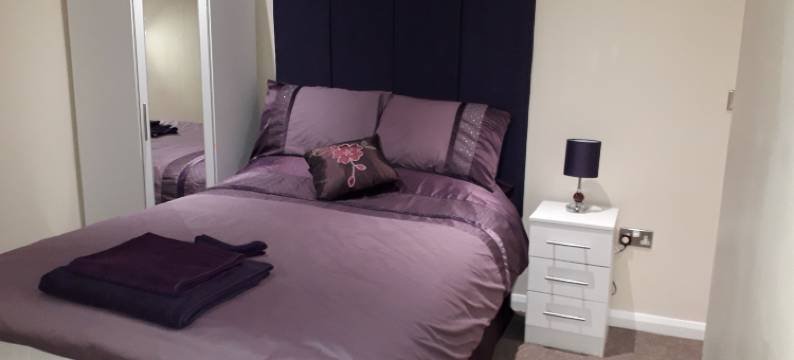 新旅馆(The New Inn)图片