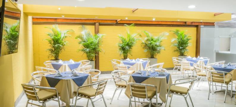 拉菲拉摄政套房酒店(Hotel Regency Suites la Feria)图片