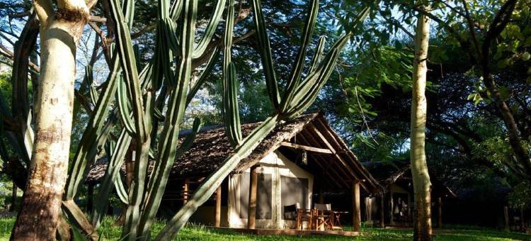 瓦亚吉尔兹瓦尼帐篷营地酒店(Voyager Ziwani Tented Camp)图片