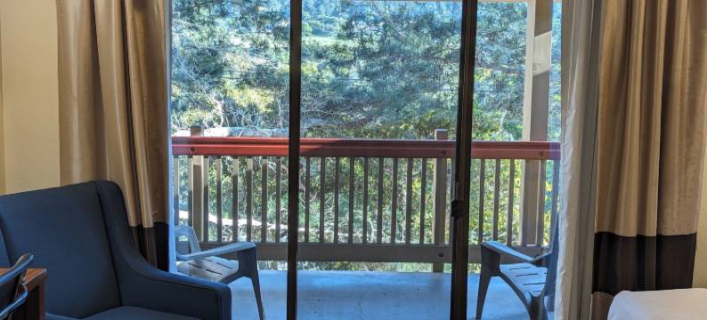 蒙特雷半岛机场舒适酒店(Comfort Inn Monterey Peninsula Airport)图片