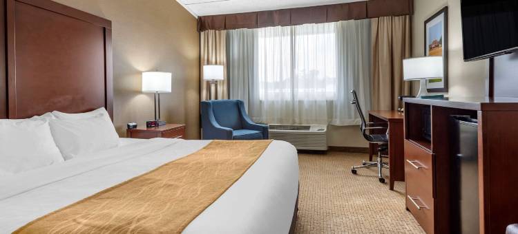 兰开斯特郡北舒适酒店(Comfort Inn Lancaster County North)图片