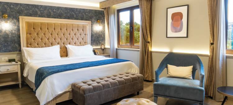 普埃布拉市中心皇家voco酒店(voco Royalty Puebla Downtown)图片