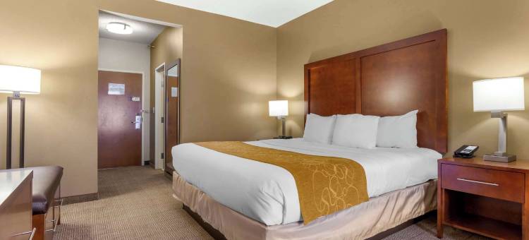 布恩大学区舒适套房酒店(Comfort Suites Boone - University Area)图片