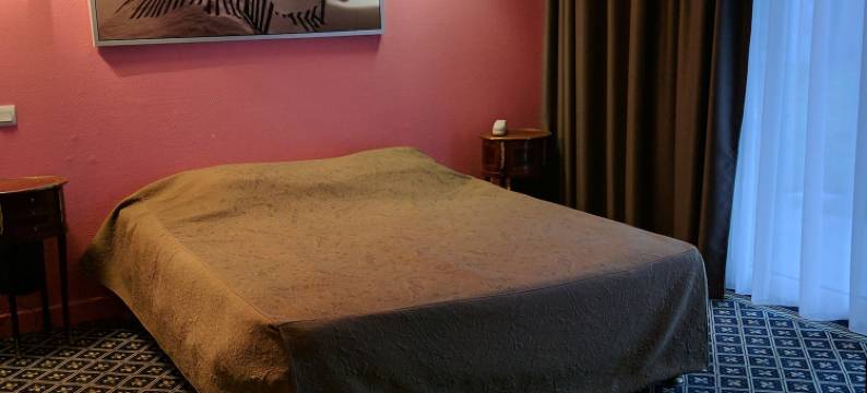 福奥尔德利斯酒店(Hotel Fleur de Lys)图片