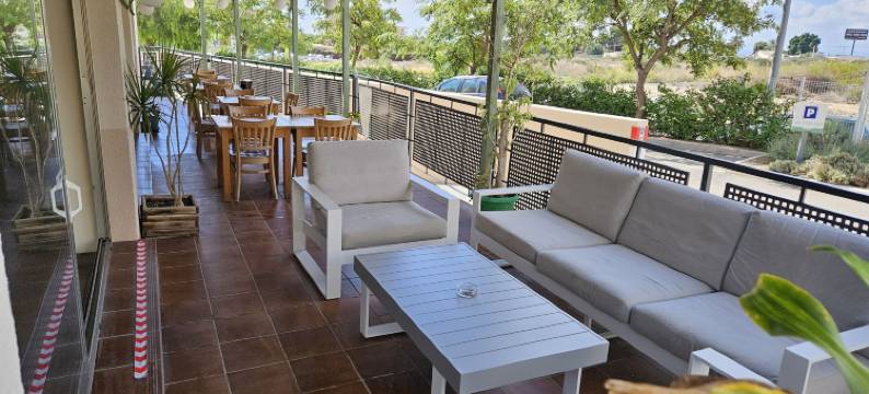 埃尔切康铂饭店(Hotel Yit Ciudad de Elche)图片