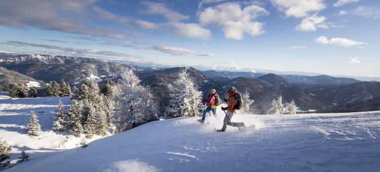 可纳朋维尔特旅馆(Gasthof Knappenwirt)图片