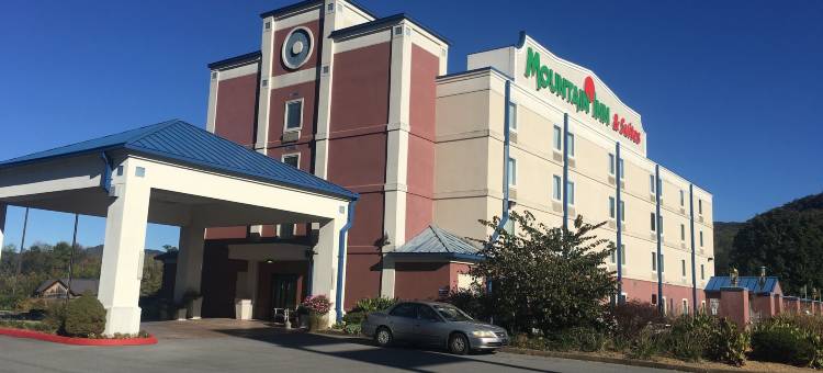 高山套房酒店(Mountain Inn & Suites)图片