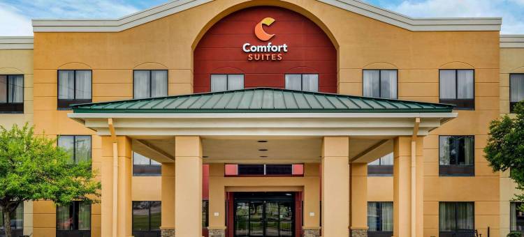 66 号公路附近舒适全套房酒店(Comfort Suites Near Route 66)图片