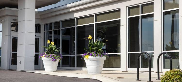 纽华克市区SpringHill Suites酒店(SpringHill Suites Newark Downtown)图片