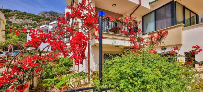 卡斯圣尼苏旅馆(Sanisu Pansiyon)图片