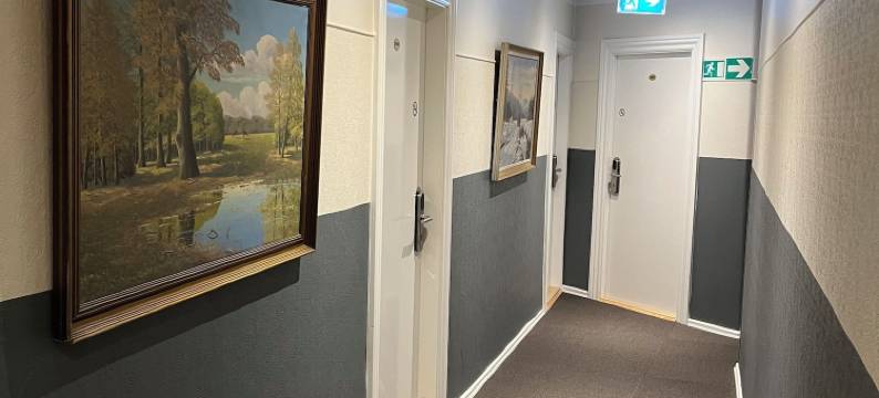 斯堪地亚酒店(Hotel Skandia)图片