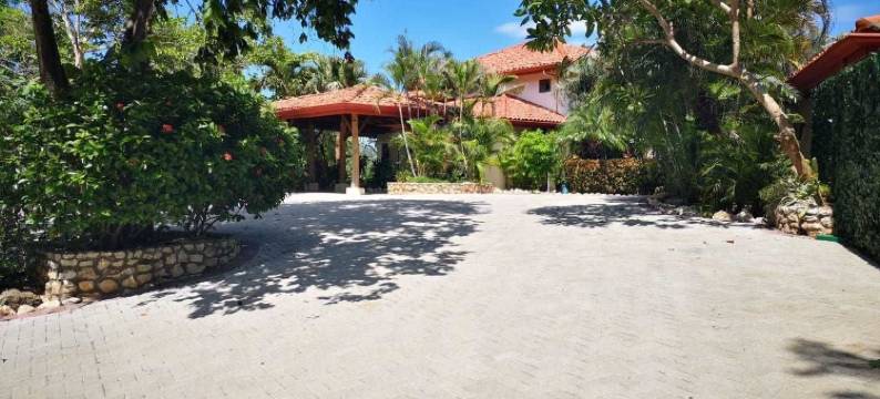 爱罗斯洛斯阿尔托斯精品酒店及 Spa(Los Altos de Eros - Adults Only)图片