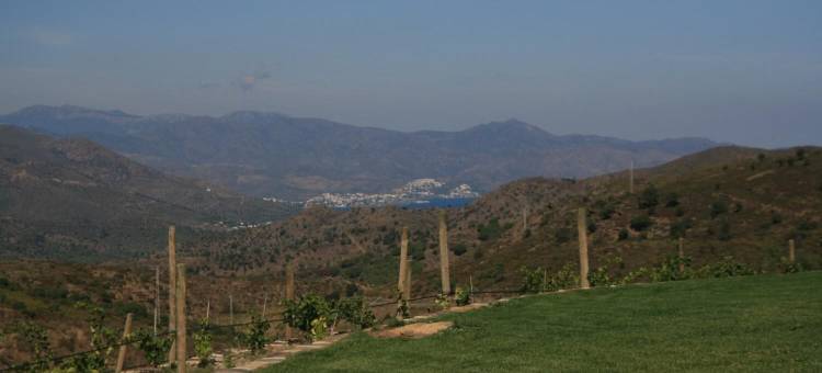 萨佩拉菲塔酒店(Sa Perafita - MF)图片