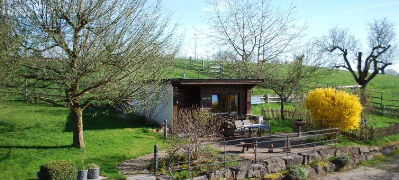 阿尔高草地牧场酒店(Allgäu Meadow Ranch)图片