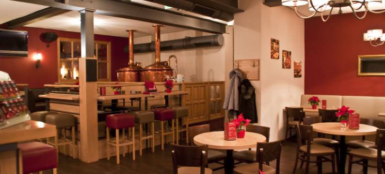 特洛尔布奥豪斯酒店(Troll's Brauhaushotel)图片