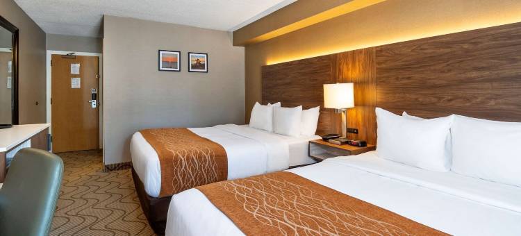 舒适酒店湖滨店(Comfort Inn Lakeshore)图片