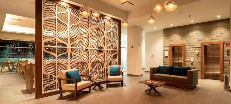 Microtel Inn & Suites by Wyndham San Luis Potosi图片