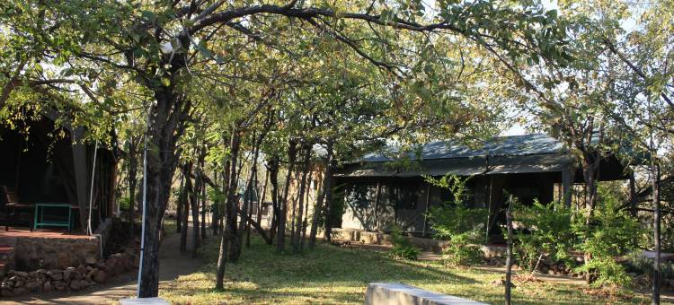 疣猪野生动物园营地旅馆(Warthogs Safari Camp)图片