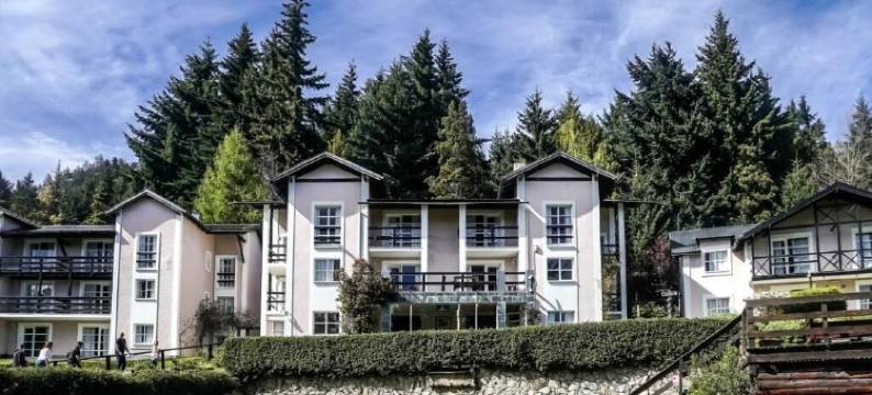 阿尔代亚安迪娜酒店与温泉(Aldea Andina Hotel&Spa)图片