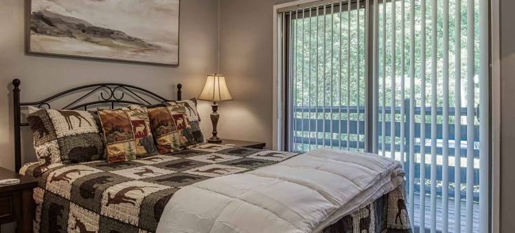 新装修的五星级公寓泳池美景(1023 English Mtn Condo by Beyond Expectations)图片