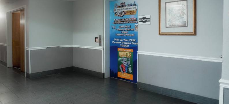 鸽子谷宾馆(Guest Inn Pigeon Forge)图片