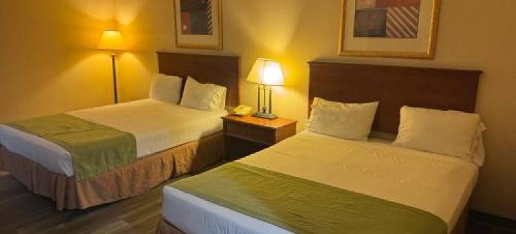 Windsor Inn & Suites图片