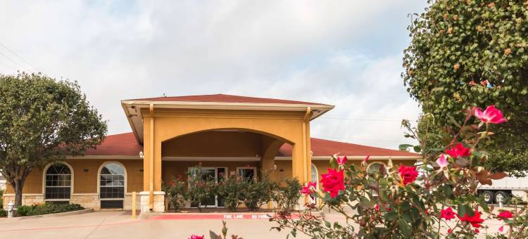 德克萨斯阿瓦拉多 6 号汽车旅馆(Motel 6 Alvarado, TX)图片