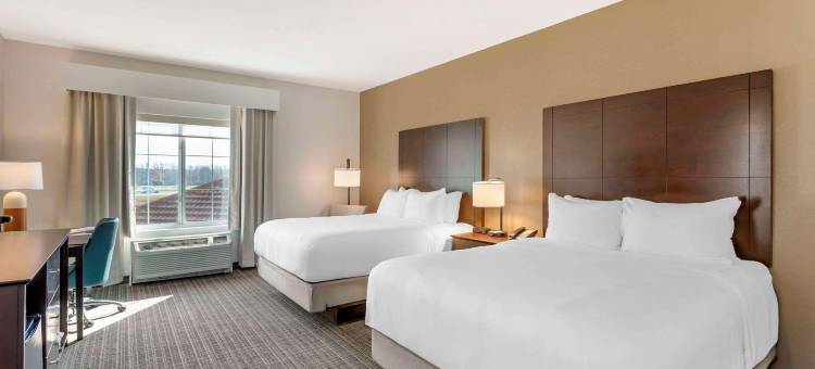 舒适酒店及套房维罗纳在转石度假村娱乐场(Comfort Inn & Suites Verona at Turning Stone Resort Casino)图片