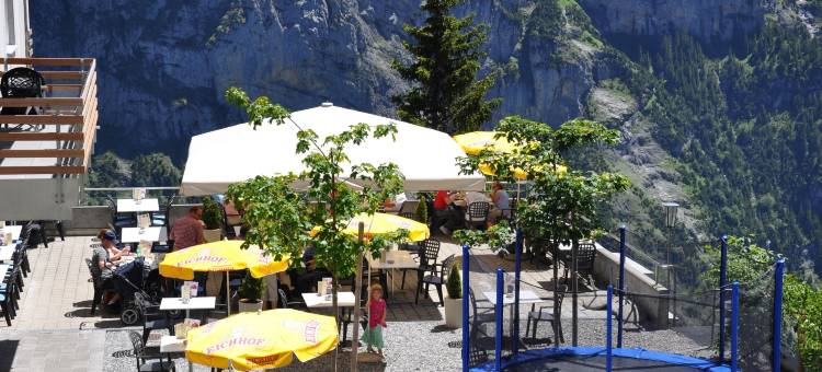 雪绒花高级酒店(Hotel Edelweiss Superior)图片