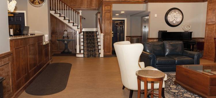 D套房酒店(D. Hotel Suites & Spa)图片