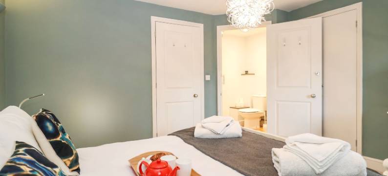 布莱思维的藏红花(Saffron, Blythview)图片