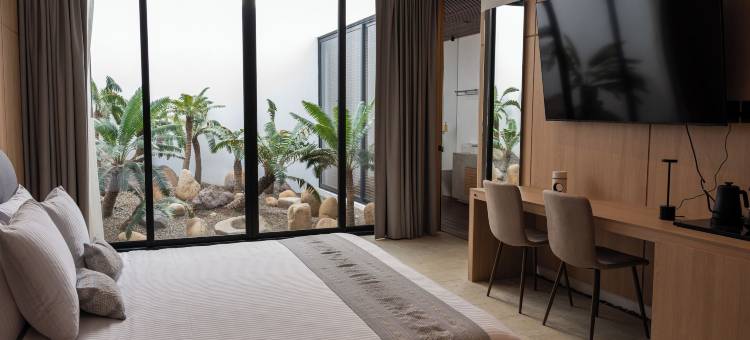 卡门索洛特尔之家(Casa Carmen Xólotl)图片